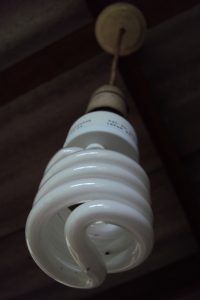 CLF Bulb