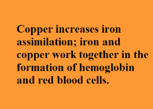 Copper clip ionic mineral dietary supplement By C R Supplements, LLC