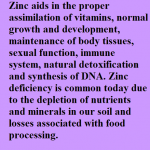 Zinc ionic mineral dietary supplement Clip By C R Supplements, LLC, Zinc, WaterOz Replacement, Liquid dietary supplement, Kosher of America approved, KOA approved, Pareve, vegan application, elemental mineral, flexible liquid mineral, maximum absorption